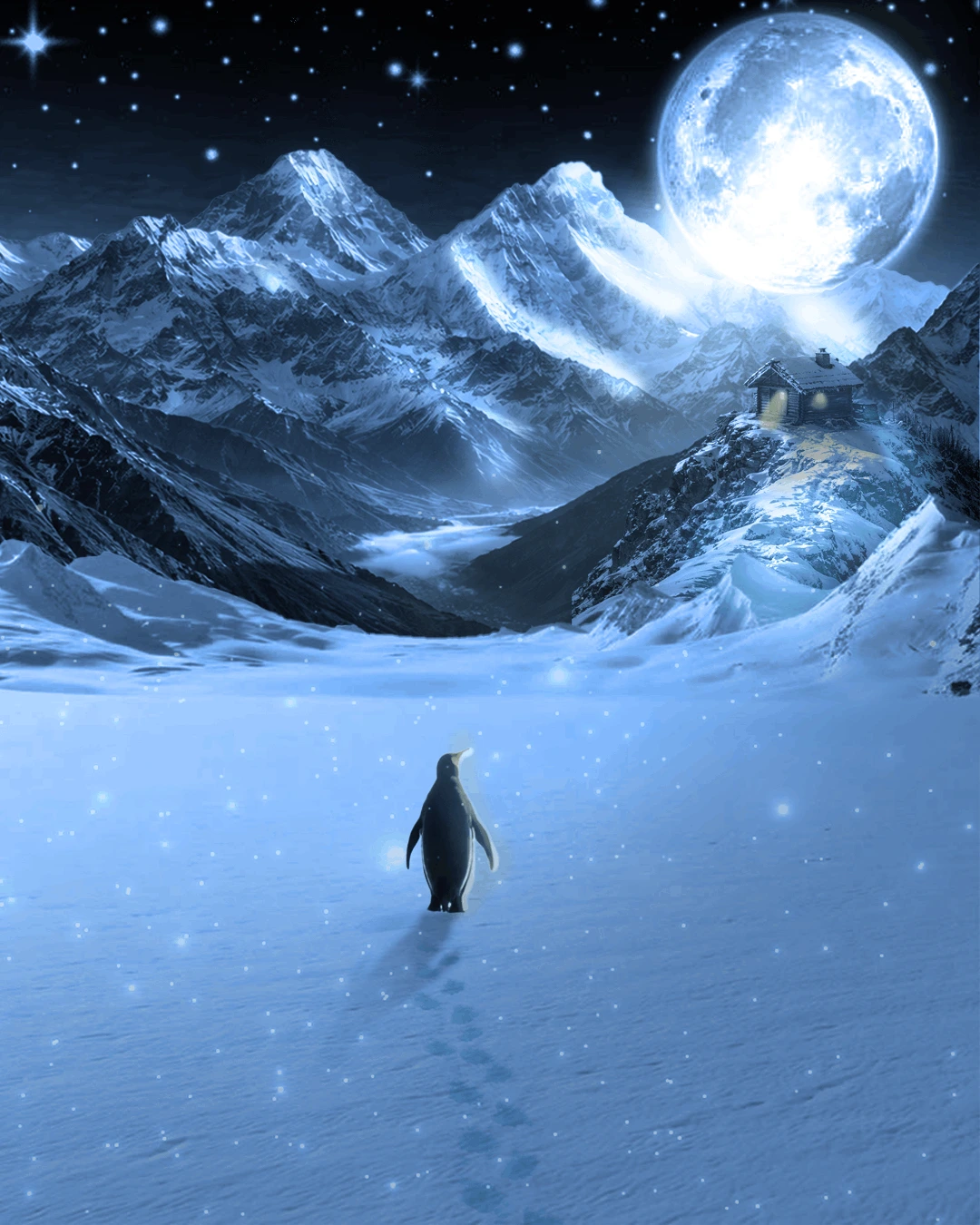 works 9 Best Digital Marketing Strategist in Kannur